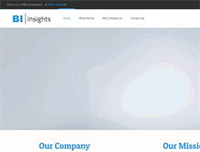 Tablet Screenshot of biinsights.com